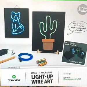 LAST ONE *** GIFT*** BRAND NEW and sealed KiwiCo Light-Up Wire Art